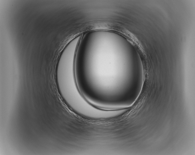 X0000110320385200905211531