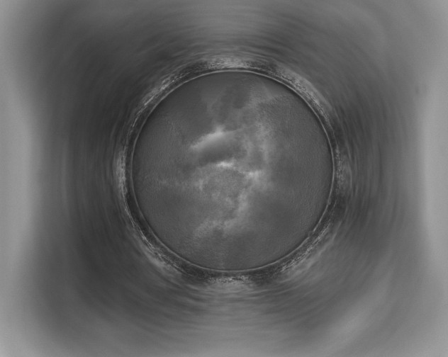 X0000110320386200905211531