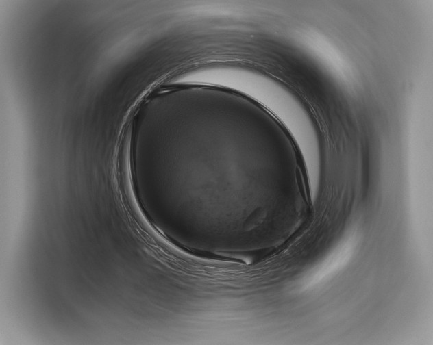 X0000110320387200905211531