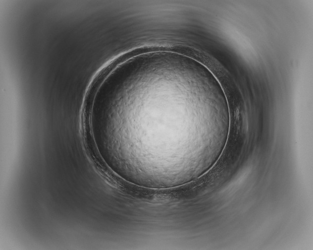X0000110320388200905211531