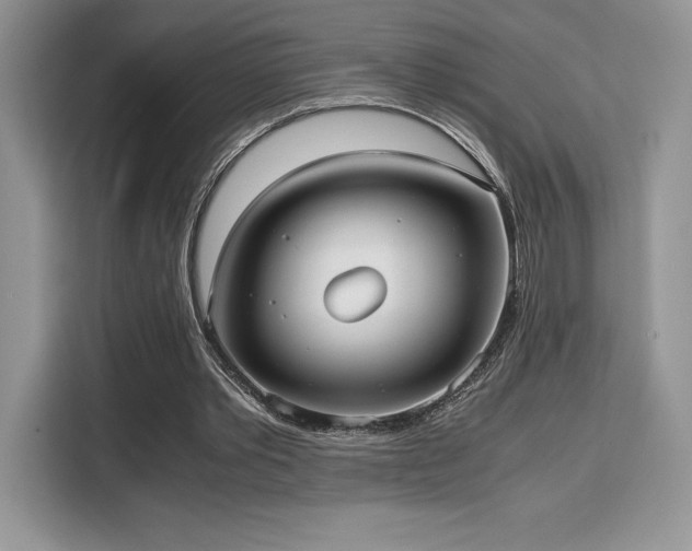 X0000110320389200905211530