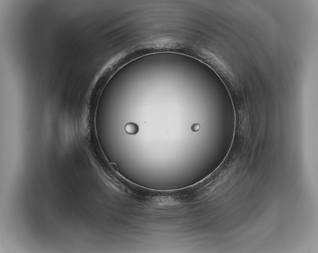 X0000110320392200905211530