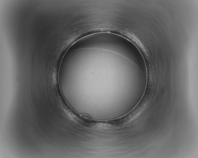 X0000110320393200905211530