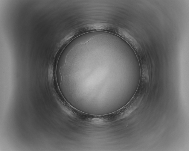 X0000110320394200905211530