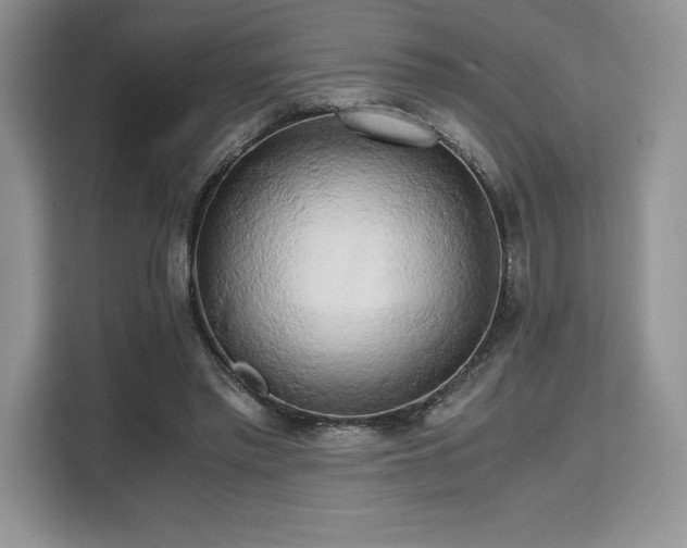 X0000110320397200905211530