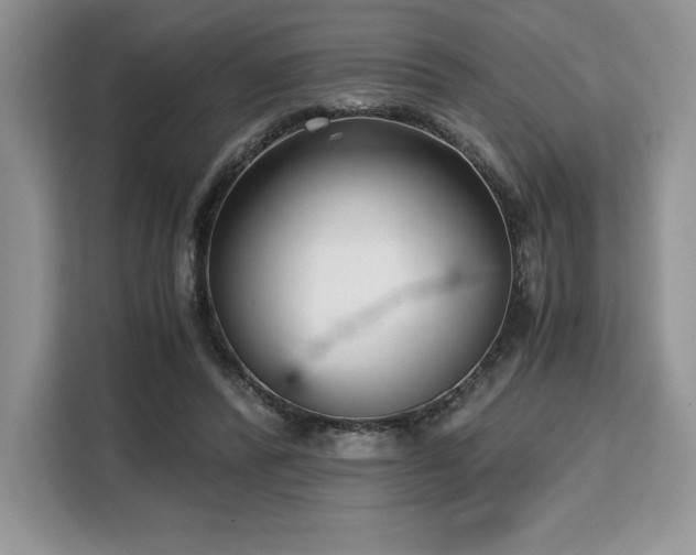X0000110320400200905211530