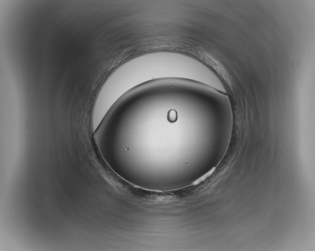 X0000110320401200905211530