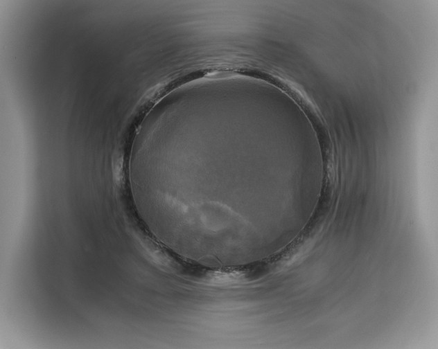 X0000110320403200905211530
