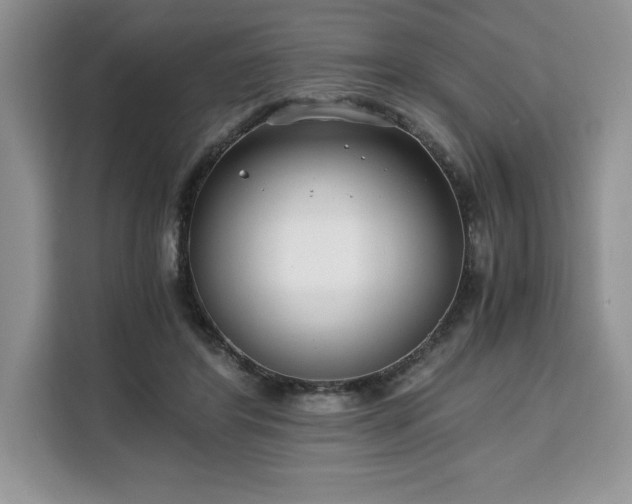 X0000110320404200905211530
