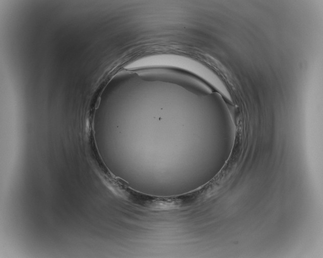 X0000110320405200905211530