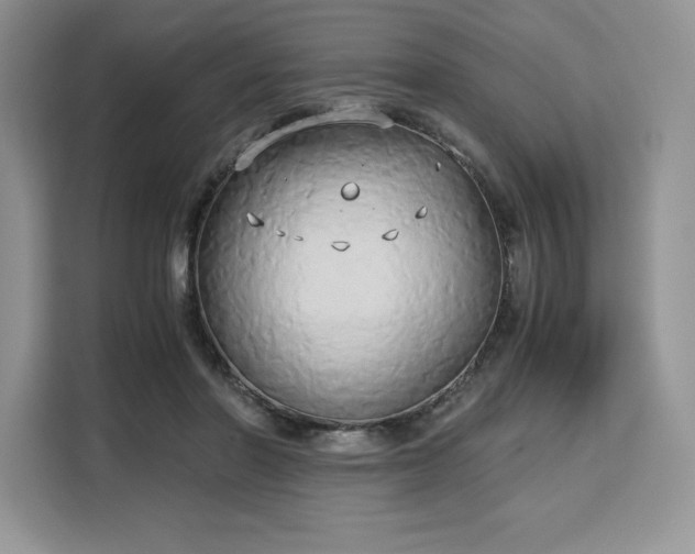 X0000110320406200905211530