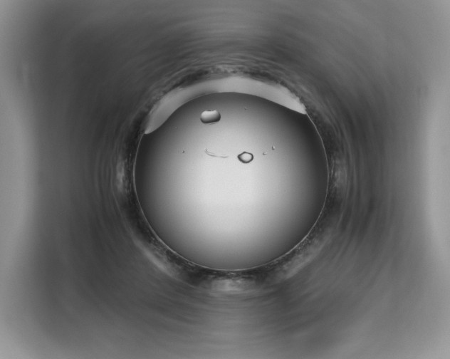 X0000110320408200905211530