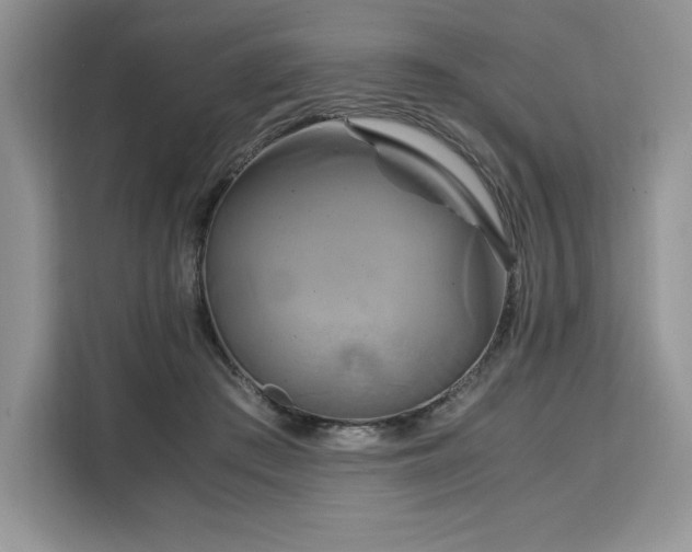 X0000110320409200905211530