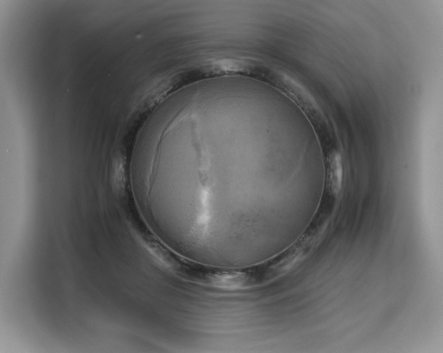 X0000110320410200905211530