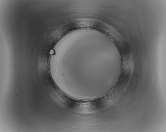 X0000110320411200905211530