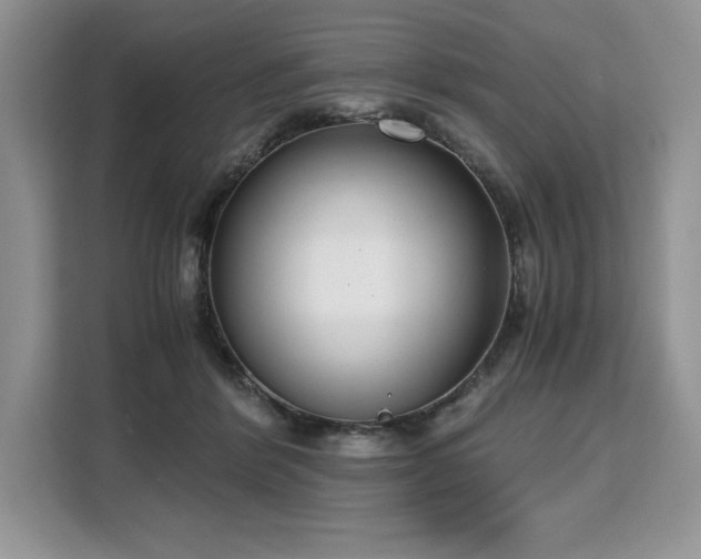 X0000110320412200905211530