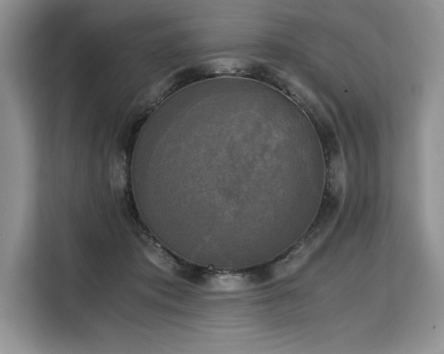 X0000110320413200905211530