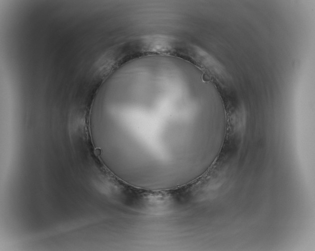 X0000110320415200905211530