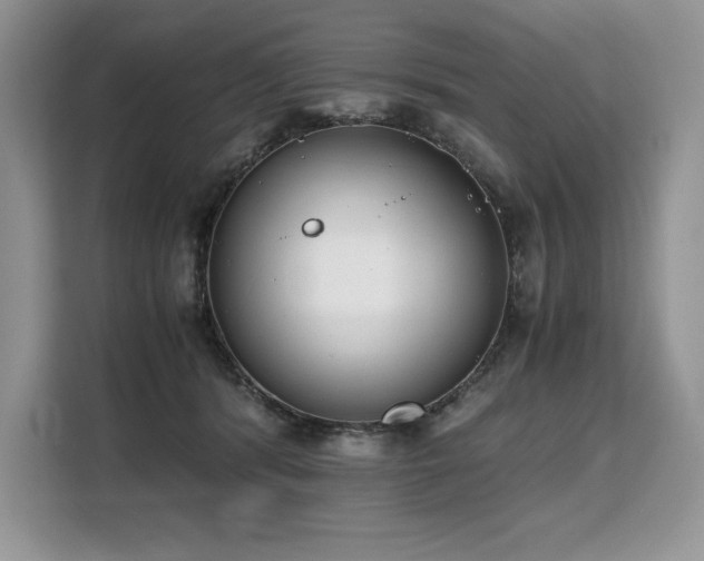 X0000110320416200905211530