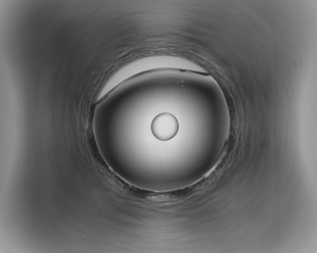X0000110320417200905211530