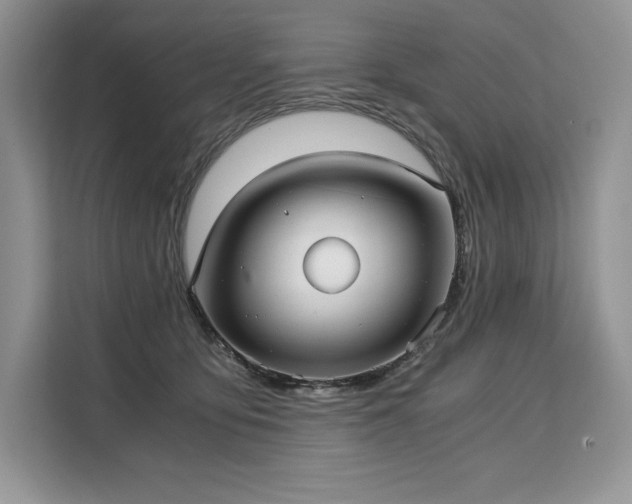 X0000110320419200905211530