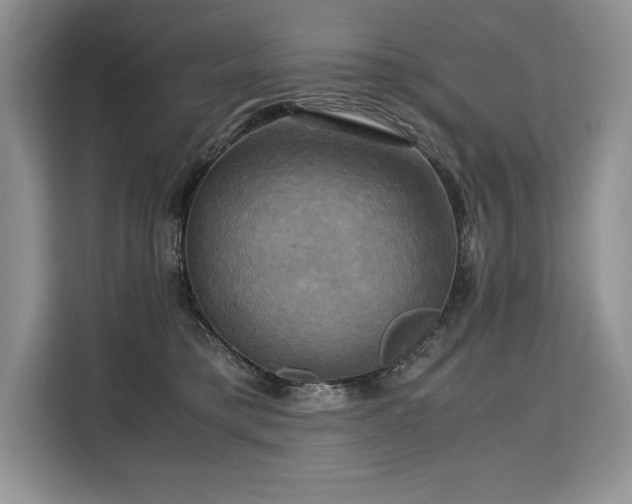 X0000110320421200905211530