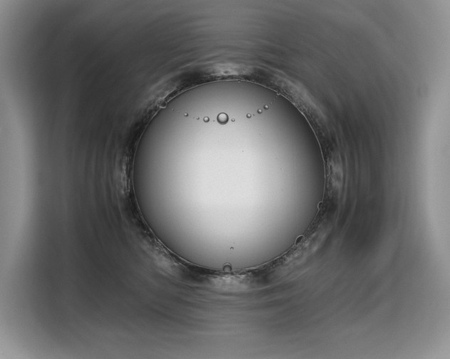 X0000110320422200905211530