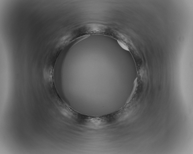 X0000110320423200905211530