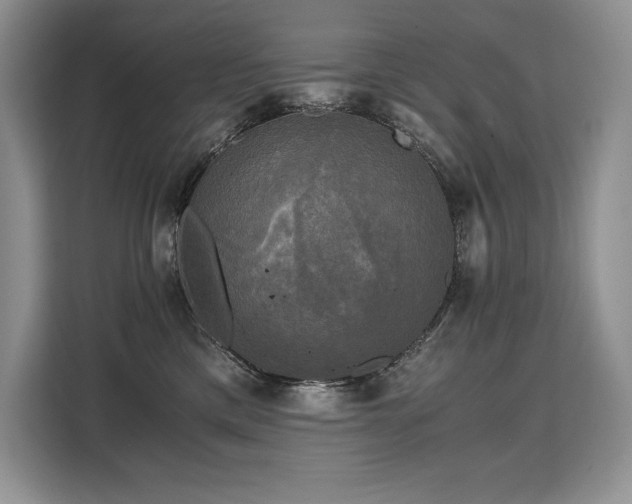 X0000110320425200905211530