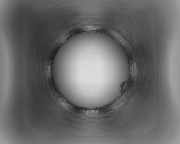 X0000110320426200905211530
