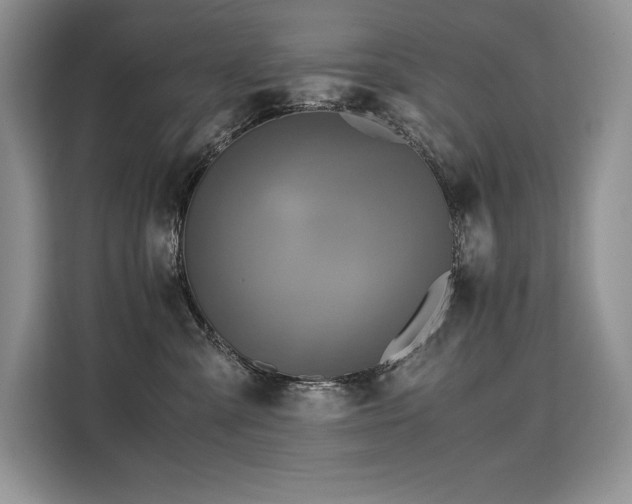 X0000110320427200905211530