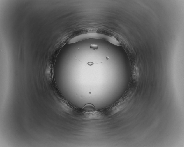 X0000110320428200905211530