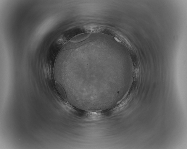 X0000110320429200905211530