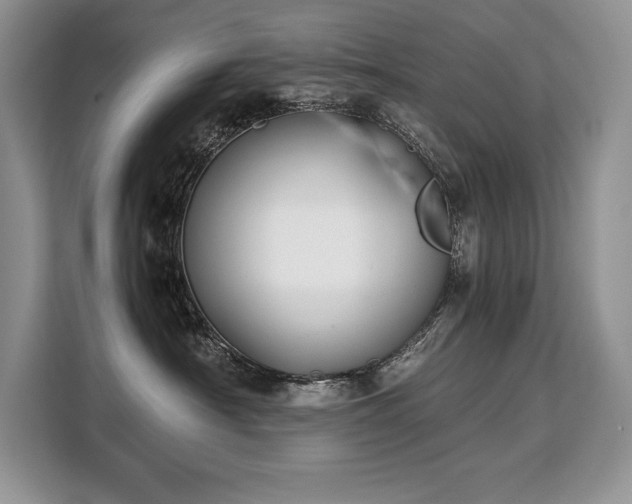 X0000110320430200905211530