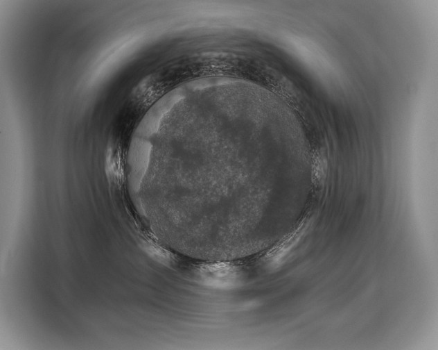 X0000110320431200905211530