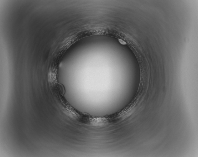 X0000110320432200905211530