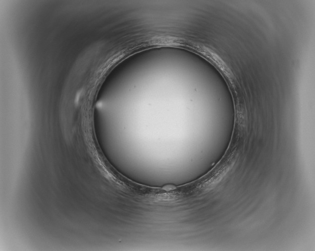 X0000110320433200905211529