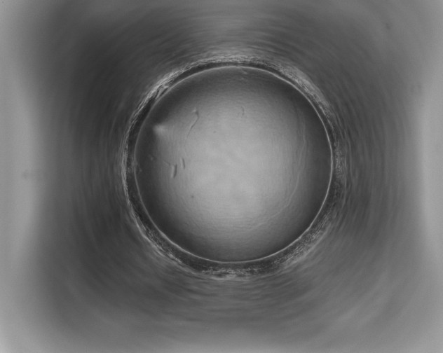 X0000110320434200905211529