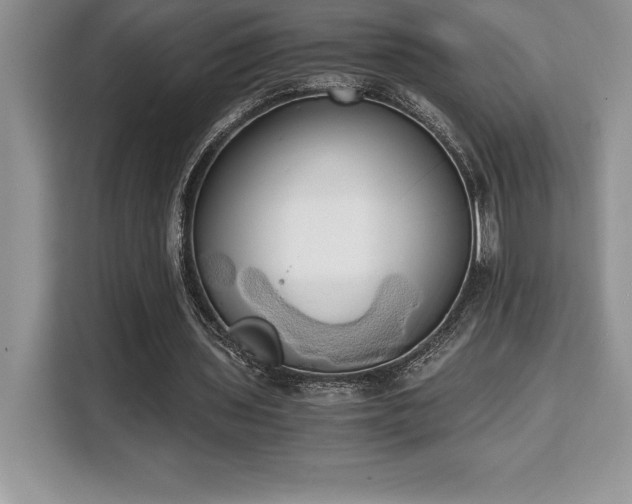 X0000110320435200905211529