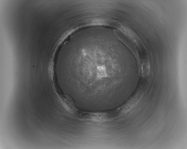 X0000110320436200905211529