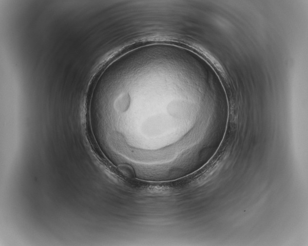 X0000110320437200905211529