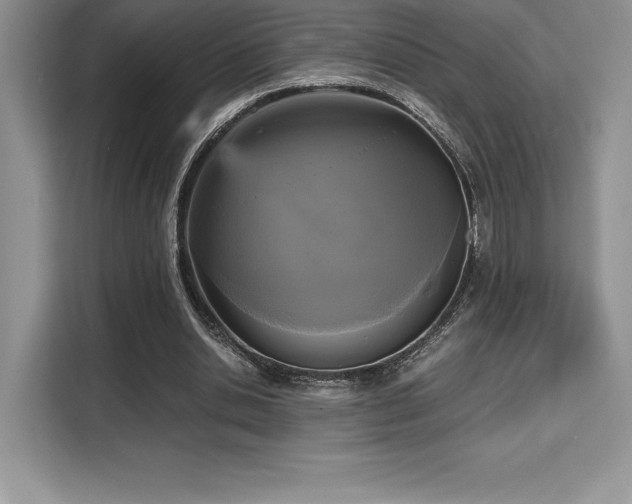X0000110320438200905211529