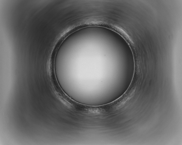 X0000110320439200905211529