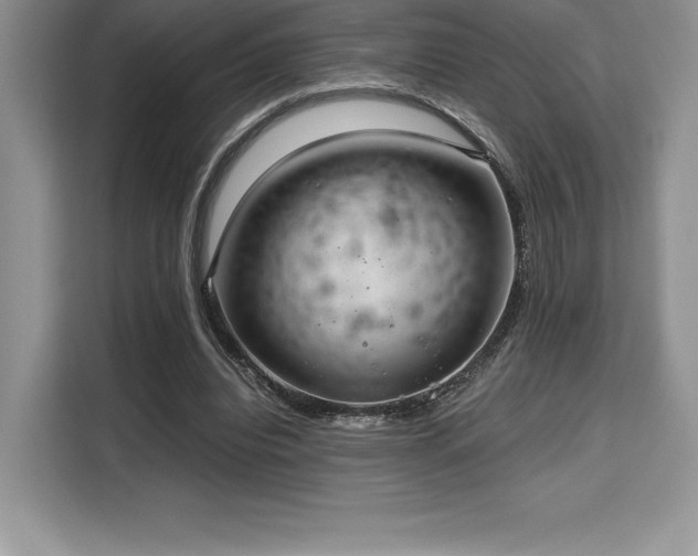 X0000110320440200905211529