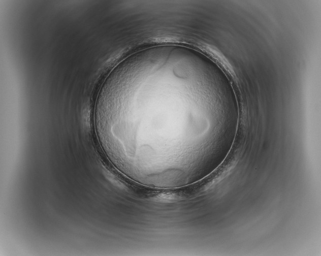 X0000110320441200905211529