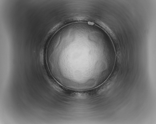 X0000110320442200905211529