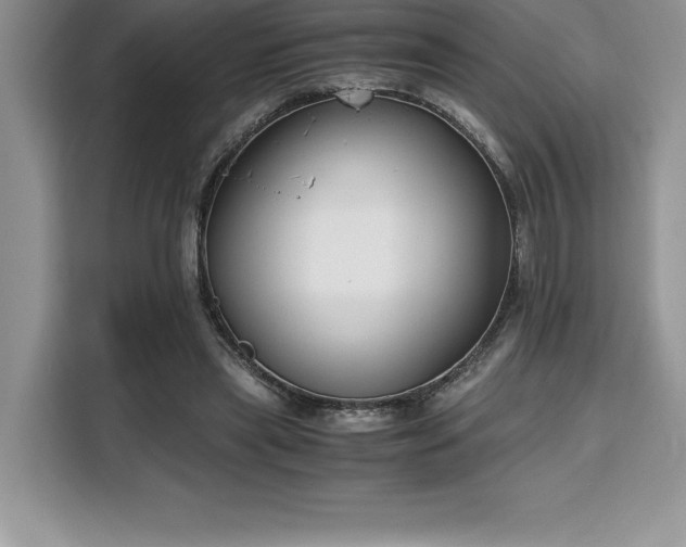 X0000110320445200905211529