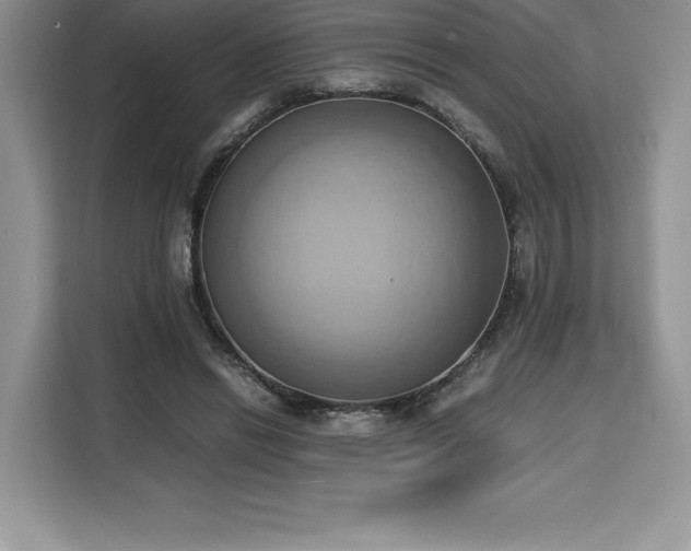 X0000110320446200905211529