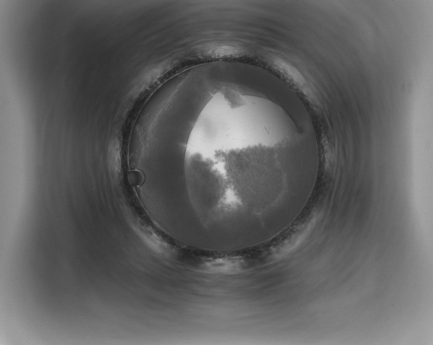 X0000110320447200905211529