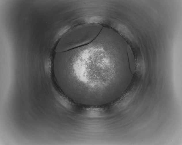 X0000110320448200905211529
